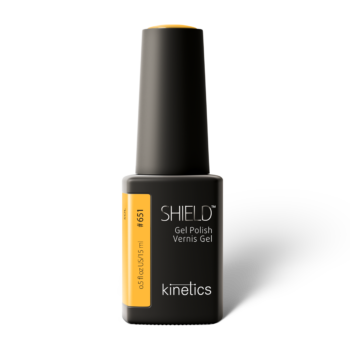 Kinetics Shield  SOL #651
